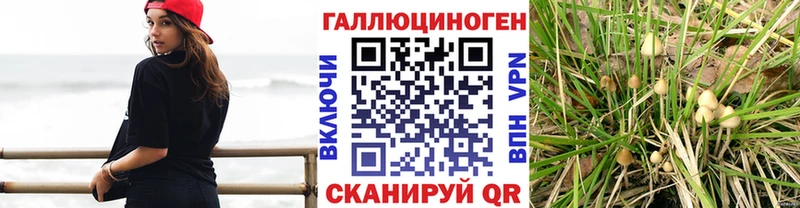 Псилоцибиновые грибы прущие грибы  Купить  Нижнеудинск 